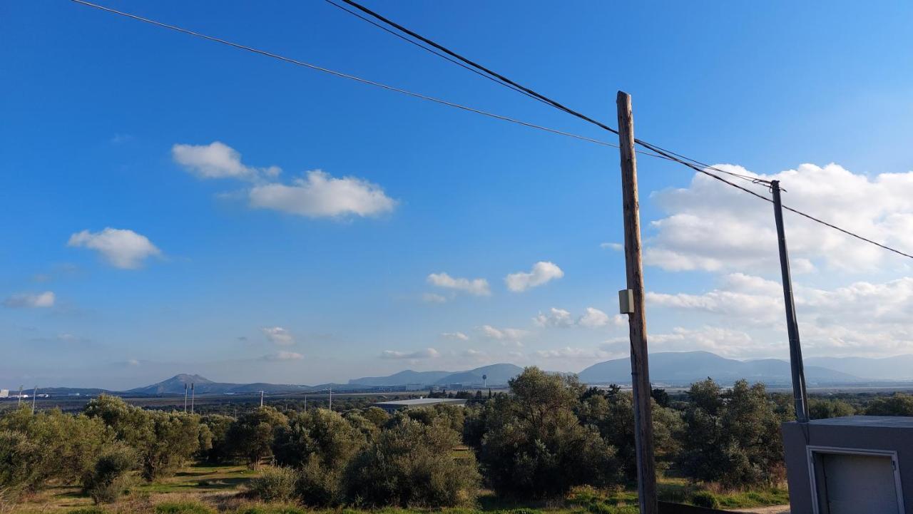 Makarios Apartment Near Athens Aiport Spata  Bagian luar foto
